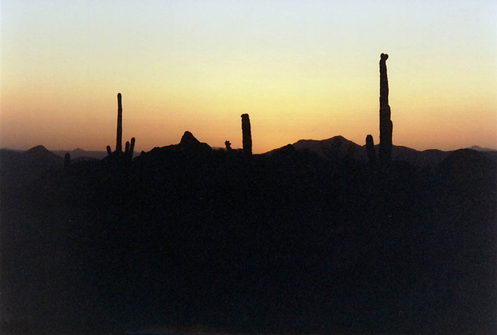 Sunset in the desert. (Category:  Family)
