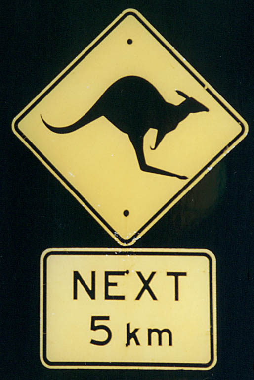 Kangaroo crossing. (Category:  Travel)