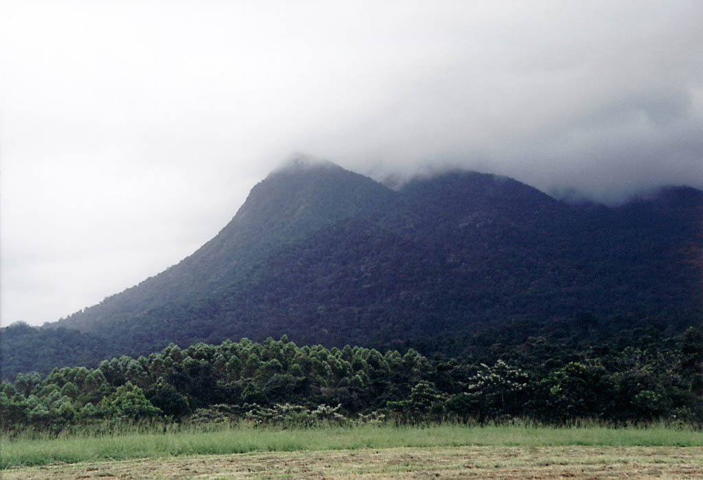 The base of Mt Bartle Frere.  The top shrouded as always in clouds. (Category:  Travel)