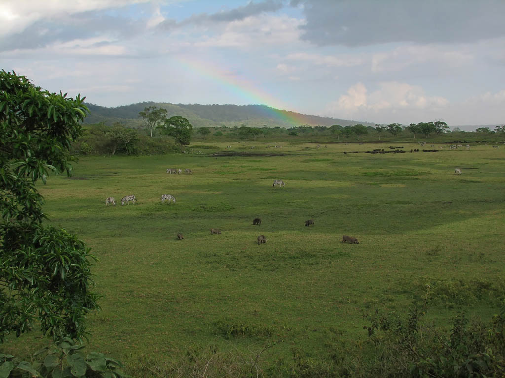 Little Savannah with a beautiful rainbow.  One of the most amazing things I've ever seen in my life. (Category:  Travel)