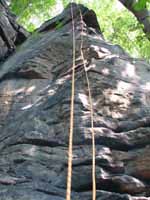 Chicks in the Woods (Category:  Rock Climbing)