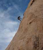 Aramy prussiking up Walk on the Wild Side. (Category:  Rock Climbing)