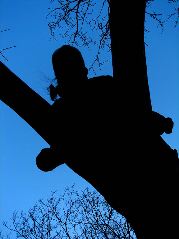 Anna in an interesting tree. (Category:  Rock Climbing)