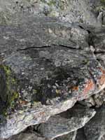 Lichen covered rock. (Category:  Rock Climbing)