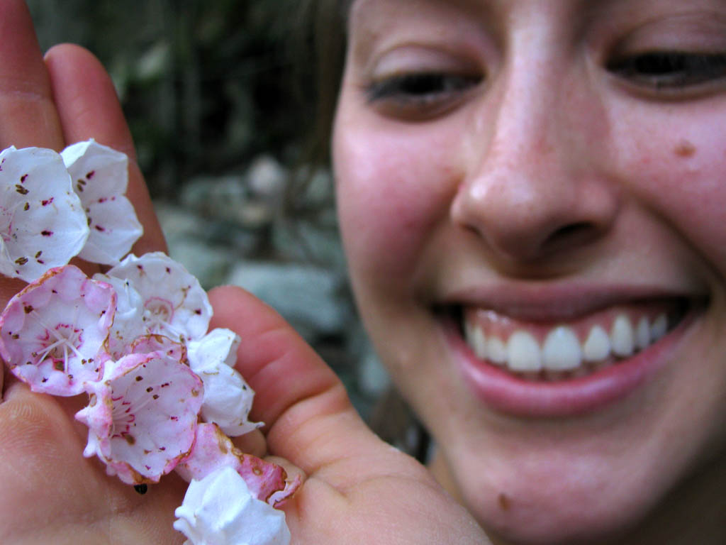 Sarah's collection of Mountain Laurel flowers. (Category:  Rock Climbing)