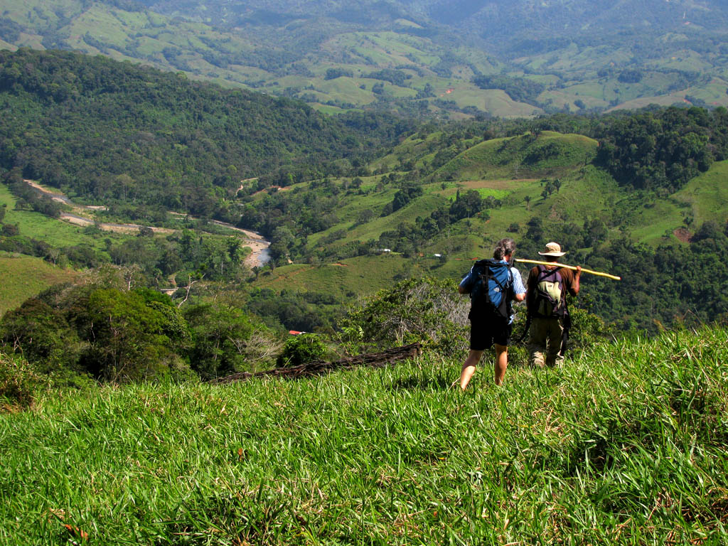 Hiking down from the jungle. (Category:  Travel)