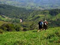 Hiking down from the jungle. (Category:  Travel)