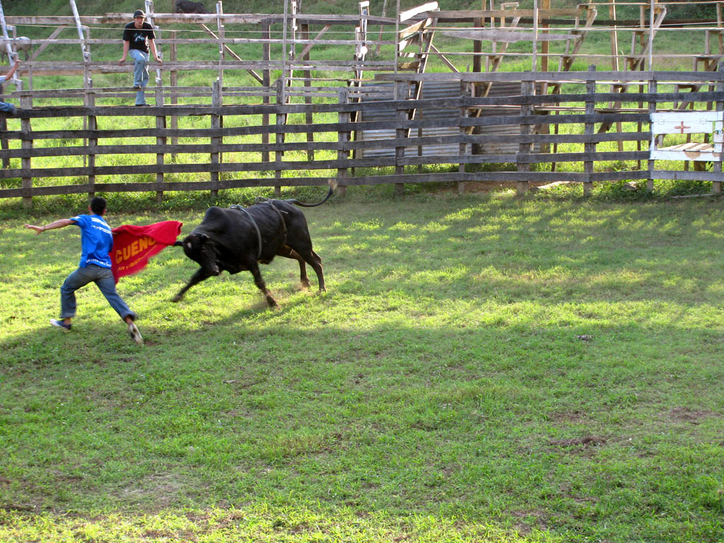 ...Rodeo clowning... (Category:  Travel)