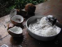 Grated coconut. (Category:  Travel)