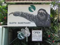 Sloth Sanctuary (Category:  Travel)