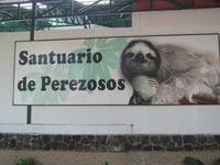 Sloth Sanctuary (Category:  Travel)