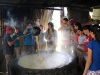 Sugar being boiled. (Category:  Travel)