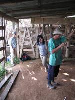 Becky grinding sugar cane. (Category:  Travel)