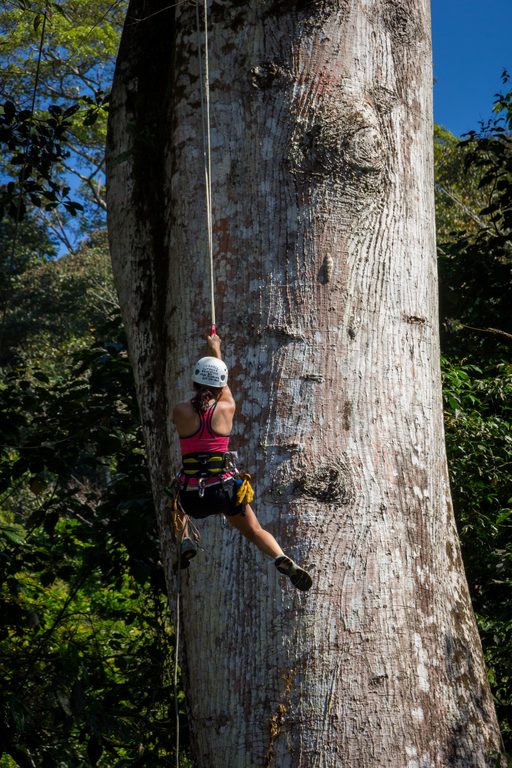 Wesley climbing the big Ceiba. (Category:  Travel)