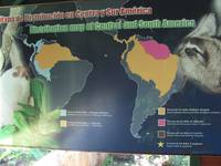 Sloth facts (Category:  Travel)