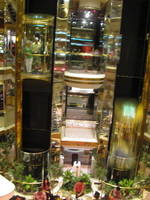 Glass elevators in the atrium. (Category:  Family)
