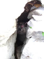 Hiding in the crack... that was a bit startling for both of us. (Category:  Travel)