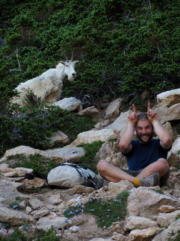 Phil and a Mountain Goat. (Category:  Rock Climbing)