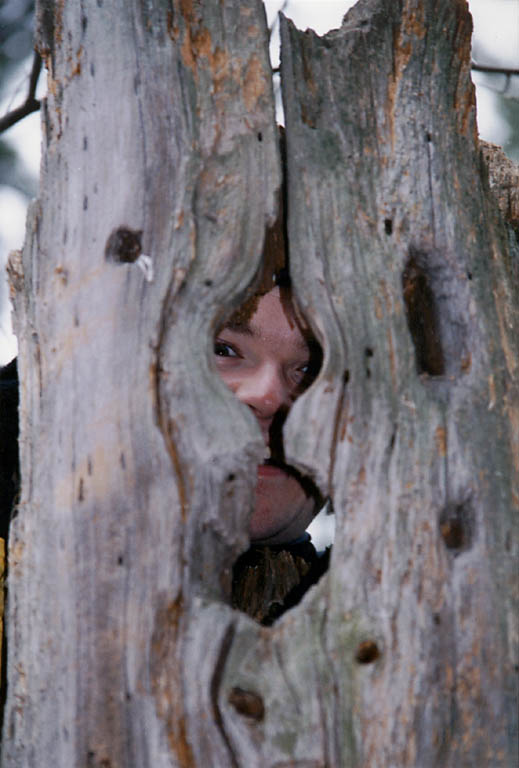 Josh looking through an old tree stump. (Category:  Hiking)