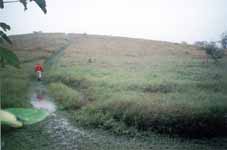 Climbing the lone hill in Eubenangee Swamp (Category:  Travel)