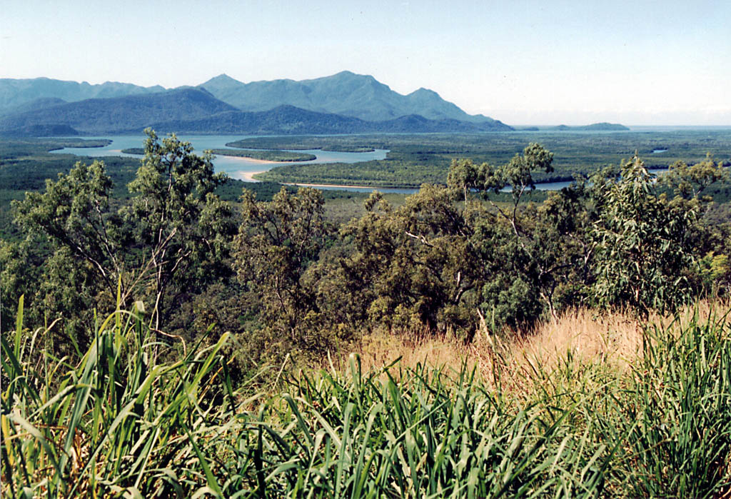 Estuaries seen from the hills at the southern edge of the tropical rainforest. (Category:  Travel)