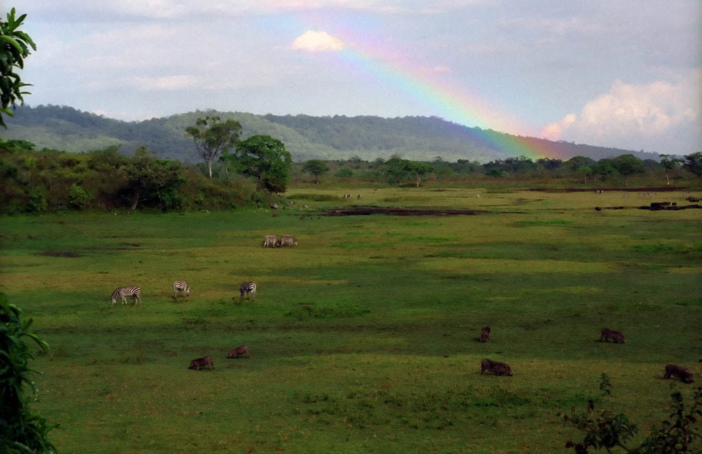 Little Savannah with a beautiful rainbow.  One of the most amazing things I've ever seen in my life. (Category:  Travel)