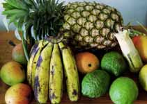 Fruit still life.  Mangoes, Bananas, Pineapple, Lime, Sugar Cane. (Category:  Travel)