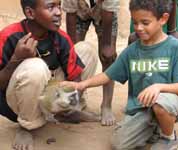 Vervet Monkey one of the town's children kept as a pet. (Category:  Travel)