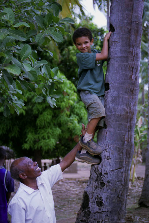 Nassor climbing a coconut tree. (Category:  Travel)