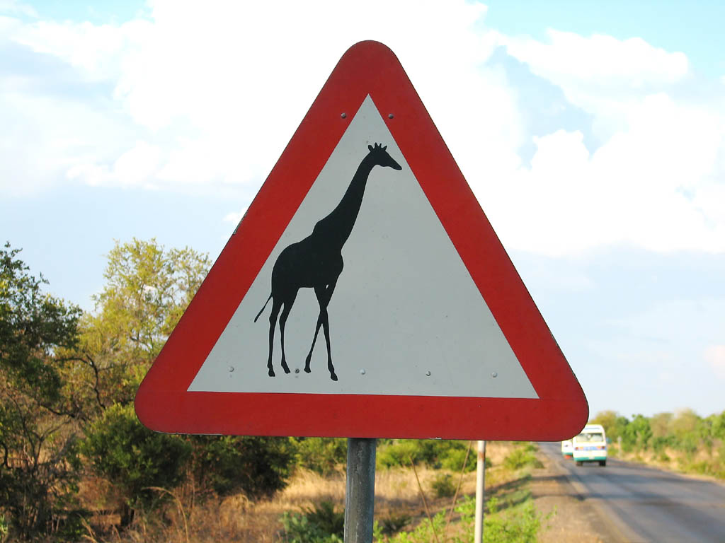 Giraffe crossing. (Category:  Travel)