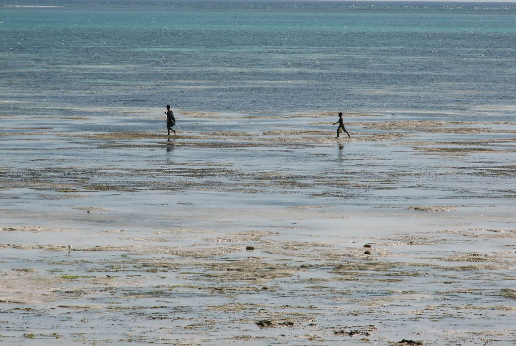 Villagers walking along the tidal flats. (Category:  Travel)