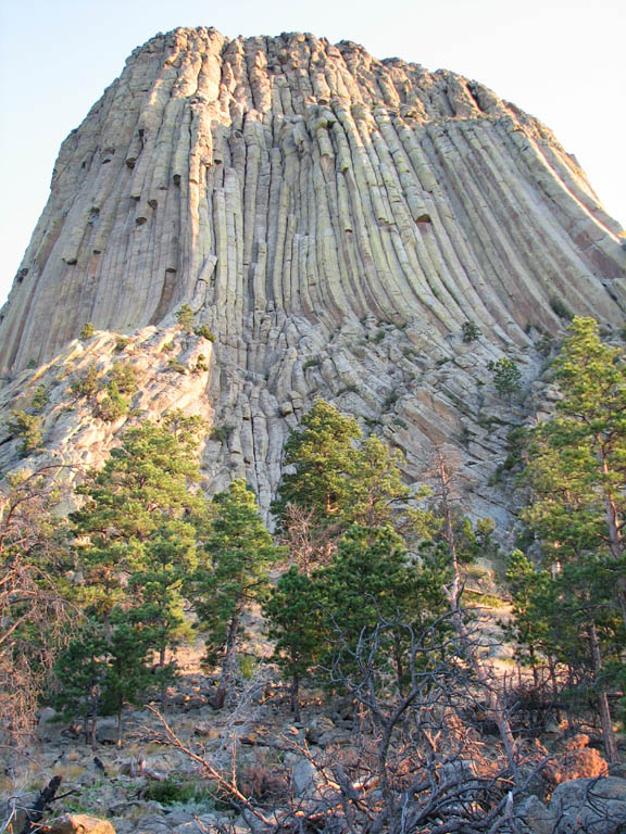 Devil's Tower.  The Durrance route starts at the leaning column which is visible on the lower left third of the tower. (Category:  Rock Climbing)