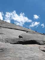 Snake Dike route up Half Dome.  Four parties are visible in this shot. (Category:  Rock Climbing)