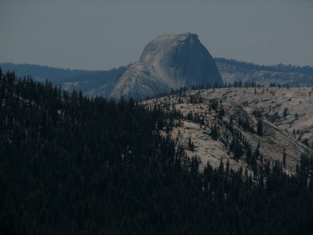 Half Dome in the distance. (Category:  Rock Climbing)