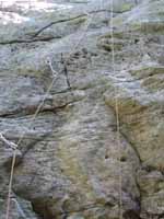 Darwin's Dilemna.  Most climbs are three bolts to the anchors. (Category:  Rock Climbing)