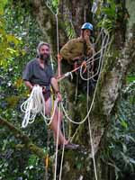 Mark and Dave in the King Swing tree. (Category:  Travel)