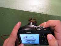 Joe getting a picture of the Tree Frog. (Category:  Travel)