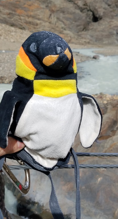 Penguin on the tyro (Category:  Backpacking)